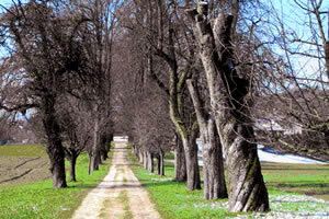 ostallee schloss waldegg