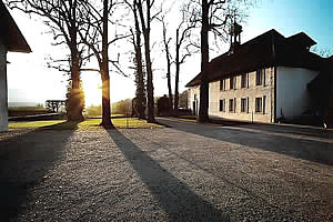 ehrenhof zum vermieten