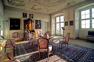 salon louis xv