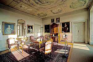 salon louis xv