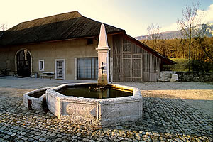 scheune zum vermieten